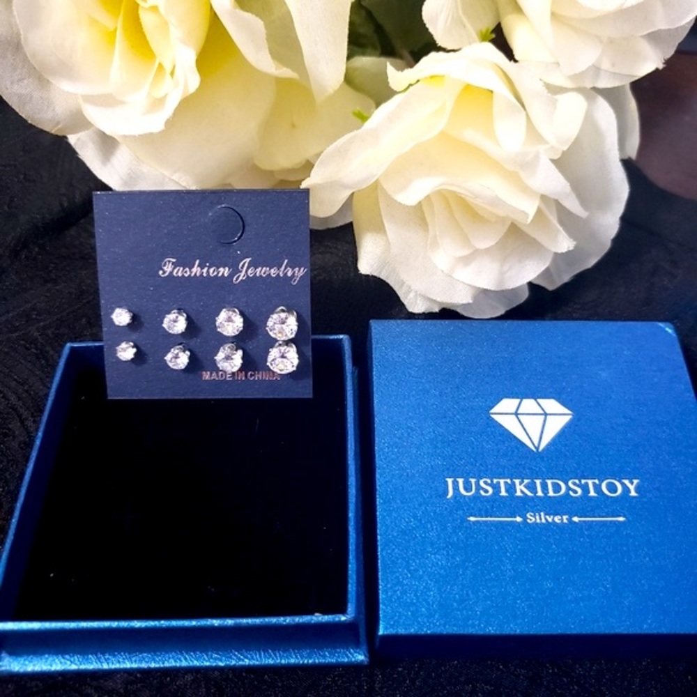 Silver Stud Earrings Set for Women